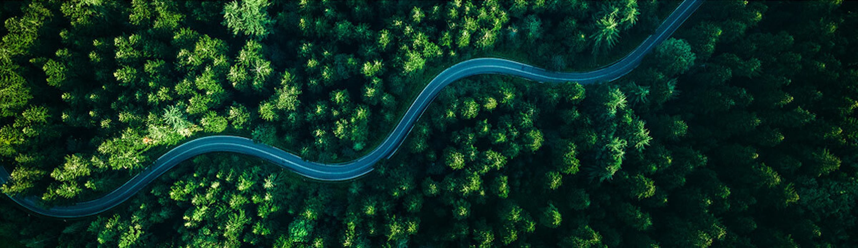 Road stock photo